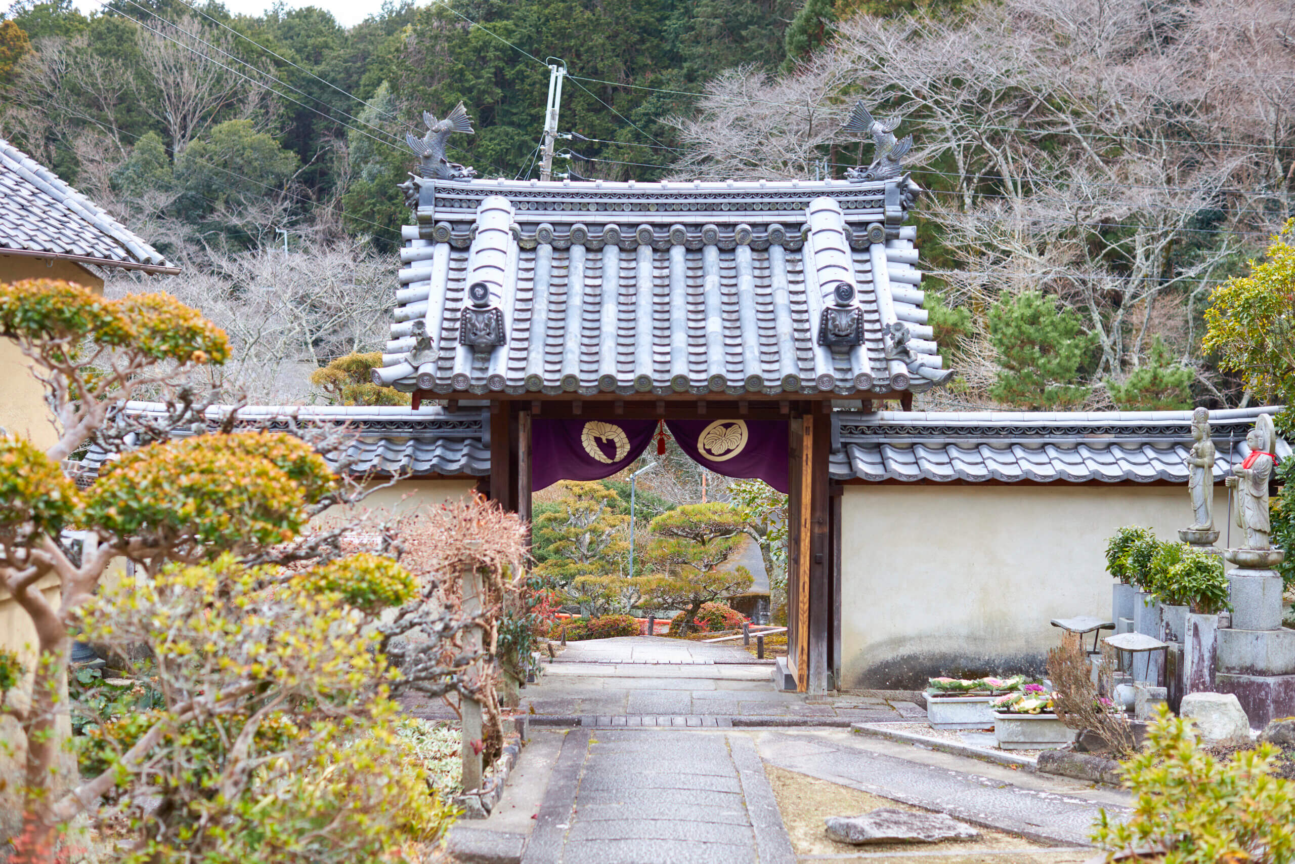 奈良県生駒のお寺　円生院